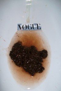 Vogue Says Shit